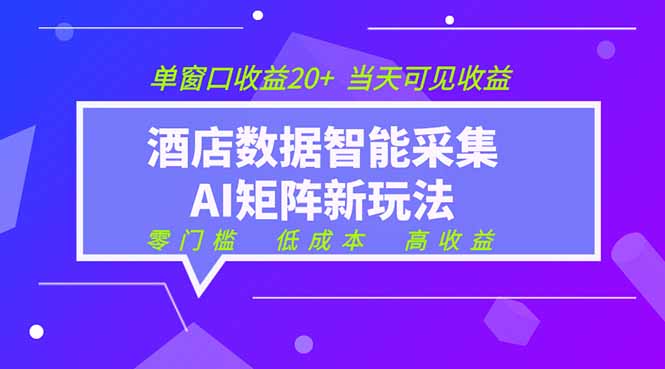 （19041期）2026酒店数据采集ai智能矩阵新风口  低成本   高收益   当天见收益   单窗口20+_生财有道创业项目网