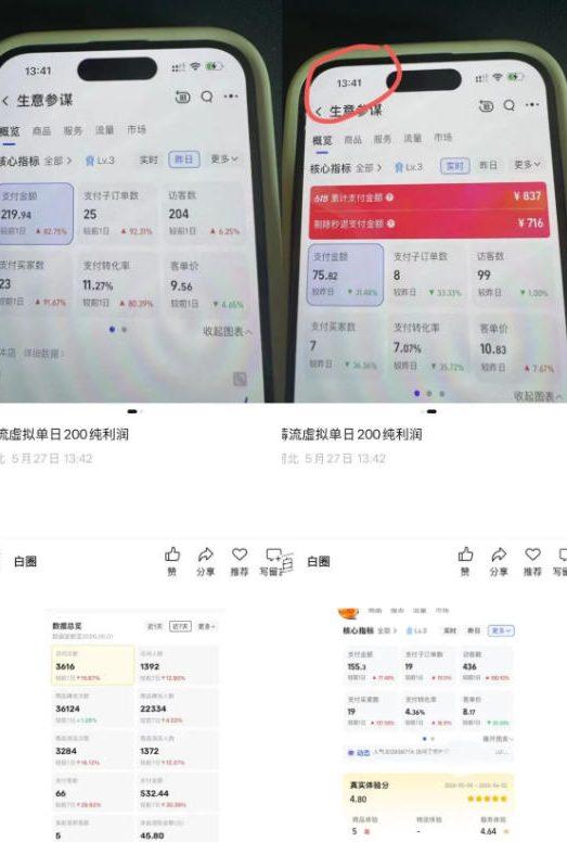 图片[2]-薅流虚拟2.0陪跑课，0成本AI流程化操作，淘宝+闲鱼同步玩法，上一次货两个平台有收益，单店每天200纯利润——生财有道创业项目网-生财有道