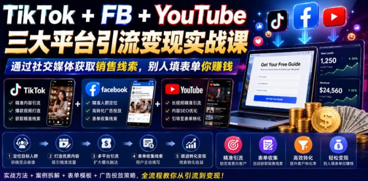 TikTok+FB+YouTube三大平台引流变现实战课，通过社交媒体获取销售线索，别人填表单你賺钱【原创双语字幕】——生财有道创业项目网