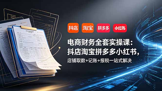 （19001期）电商财务全套实操课：抖店淘宝拼多多小红书，店铺取数+记账+报税一站式解决_生财有道创业项目网
