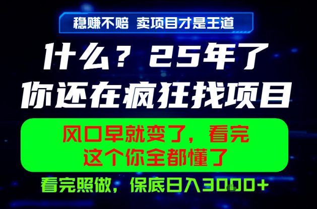 26年，请不要疯狂的找项目做了！卖项目才是真的稳賺不赔，看完照做，保底日入1k+【揭秘】——生财有道创业项目网