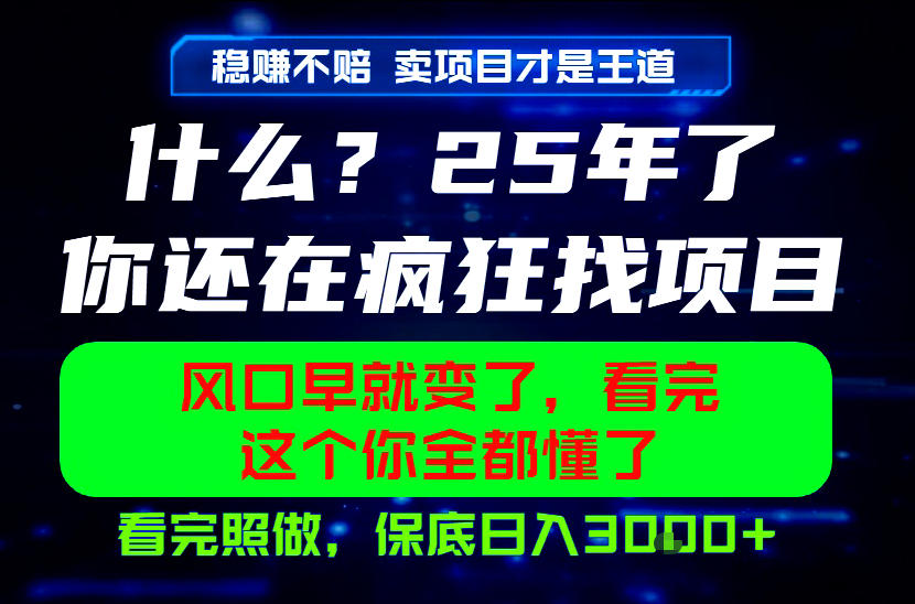 图片[1]-26年，请不要疯狂的找项目做了！卖项目才是真的稳賺不赔，看完照做，保底日入1k+【揭秘】——生财有道创业项目网-生财有道