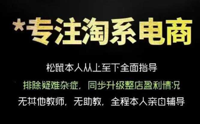 松鼠会电商VIP课程，从基础布局到高阶优化，助你掌握淘宝运营逻辑，提升店铺流量与转化——生财有道创业项目网