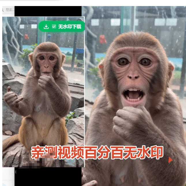图片[3]-（19358期）豆包无水印下载终于来了！支持豆包图片/视频，目前唯一免费使用的插件，浏览器拓展_生财有道创业项目网-生财有道