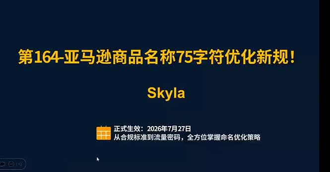 （19352期）亚马逊跨境实战课：全品类选品逻辑｜SP/SB/SD广告精细化｜新品打爆旺季爆单全套运营教程_生财有道创业项目网